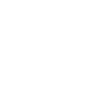 Diviner's Kevlar icon